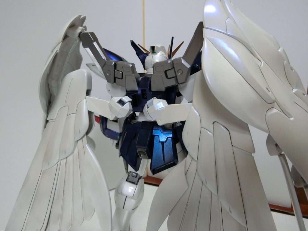 羽のサファイアブルーが光の加減でわかると思います