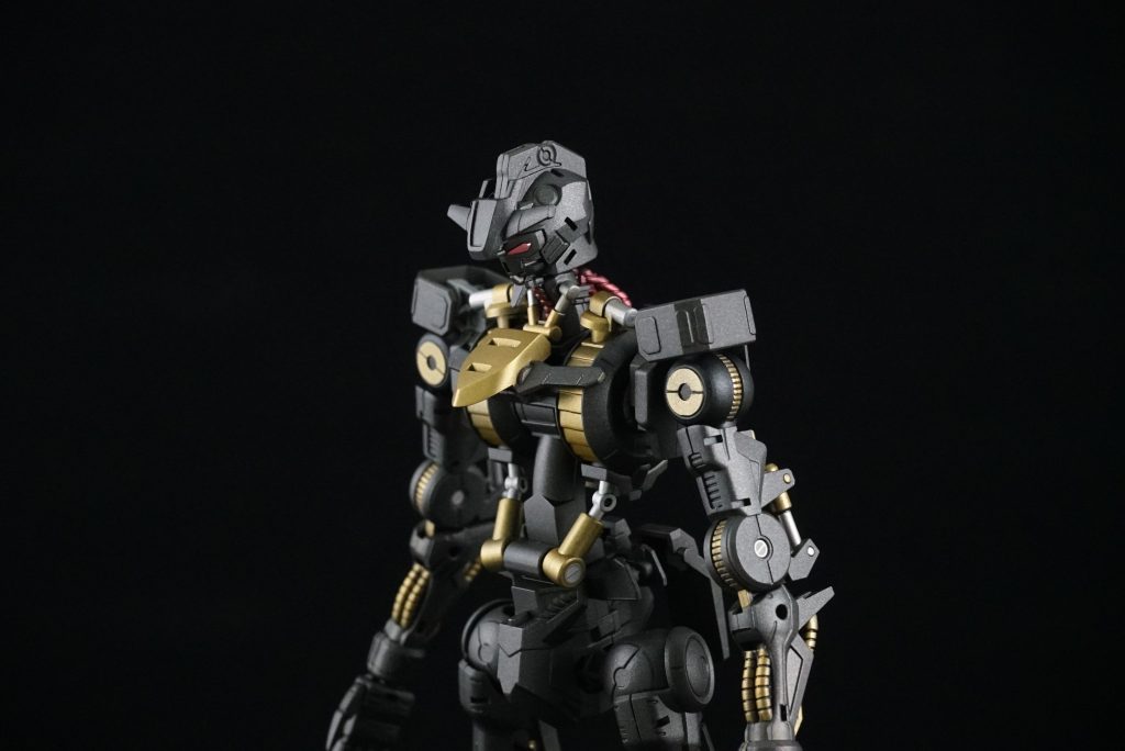 内部フレームはアレンジしてシリンダーやパイプ等塗り分けました✨