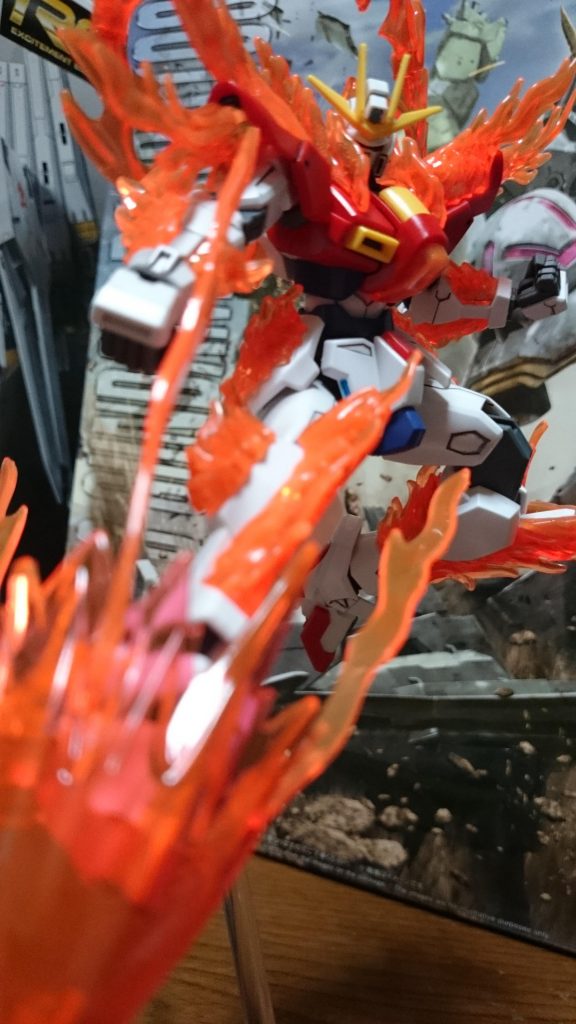 ・次元覇王流 「聖槍蹴り」

やっぱり燃えてないところがねぇ。