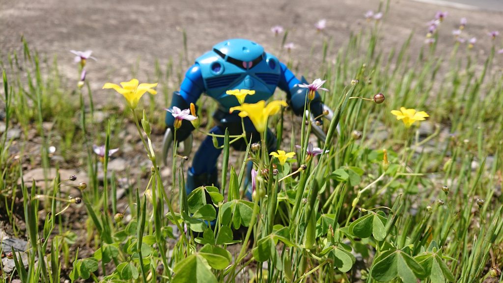 旧キット 1/144 ズゴック🙌–5枚目/制作者：@88814_psk