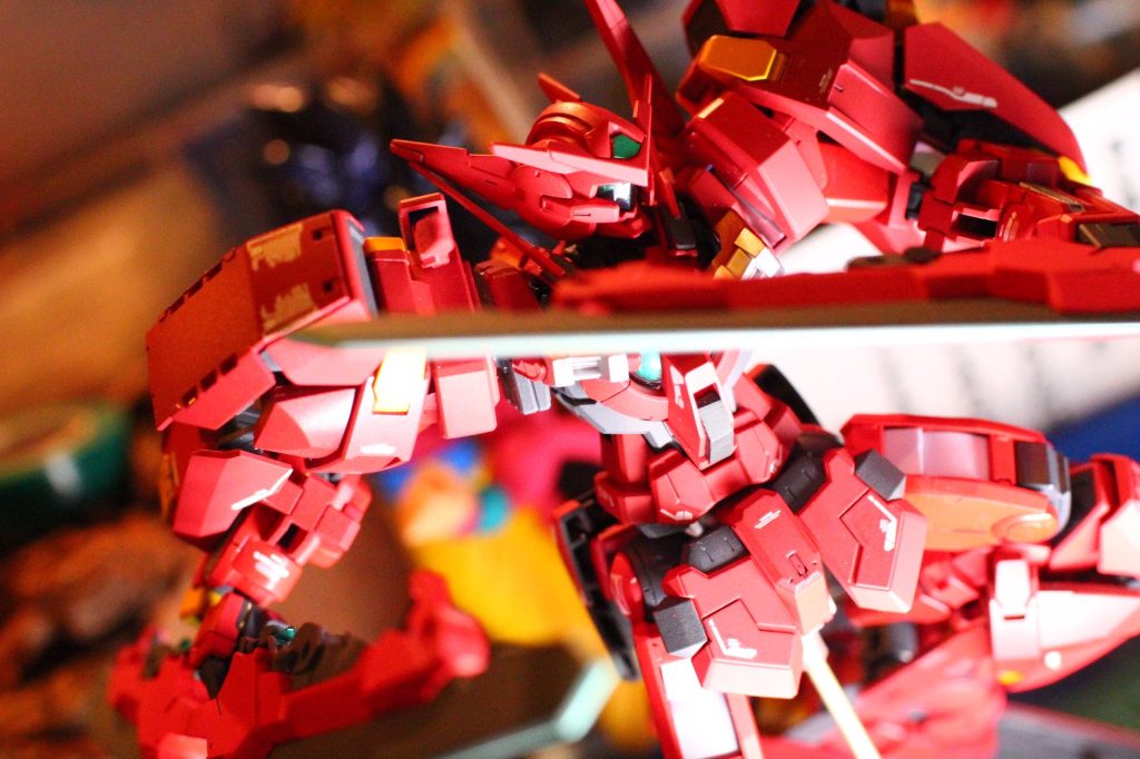 一眼レフカメラで撮影していただきました