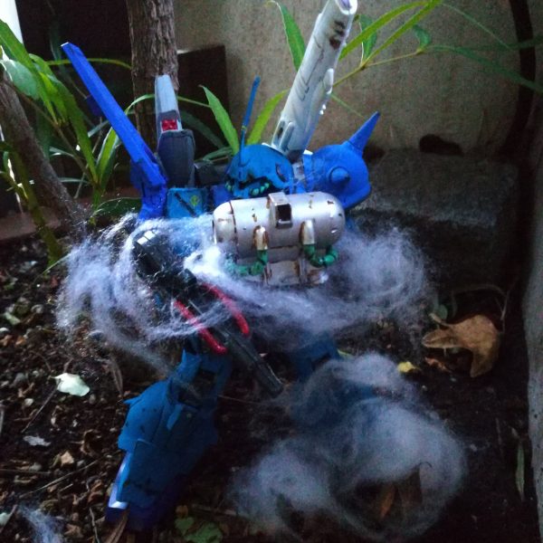 湿地帯に潜むハンター