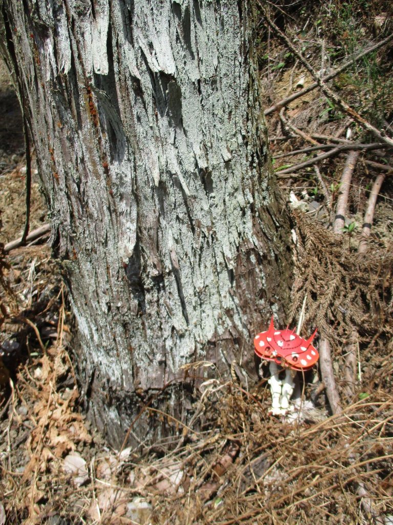 ＭＡビグザム–2枚目/制作者：@magi_chu