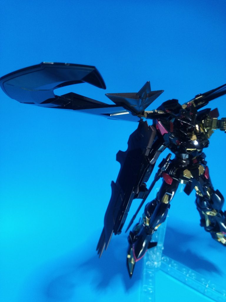 マガノイクタチ別角度から