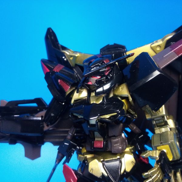 ガンダムアストレイゴールドフレーム天ミナ