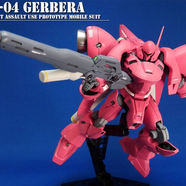 ガーベラ・テトラ