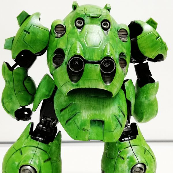 梅雨入り　カエル　歓喜！