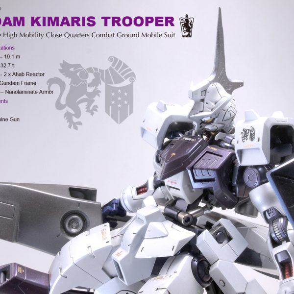 1/100 キマリストルーパー