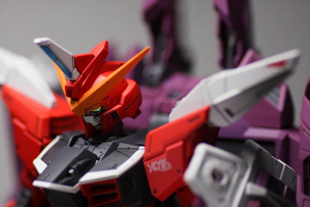 改修点は前作フリーダム同様首を2mm延長したのみ。
メインカメラやセンサーはガイアノーツのミラークロームを下地にクリアカラーで塗装し、光を拾いやすくしています。