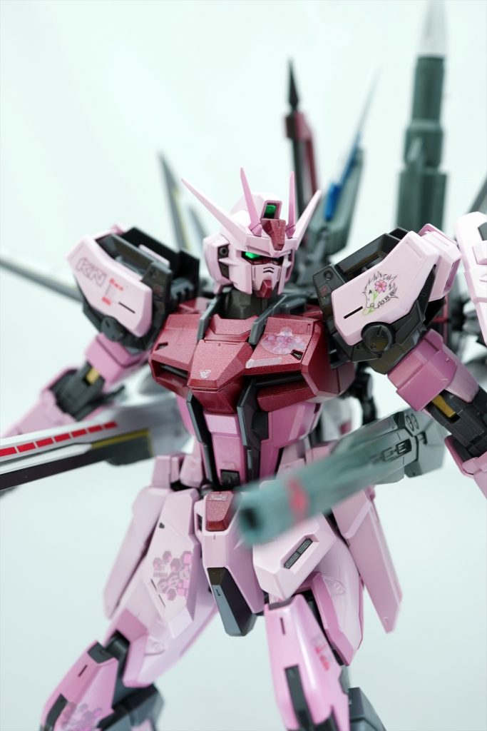 デュアルアイに光が当たるように調整しながら撮影。電飾とかできれば…って思いますが、そこまでのスキルはなく…