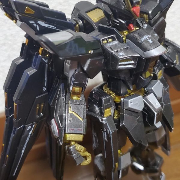 ストライクフリーダムリュウガ