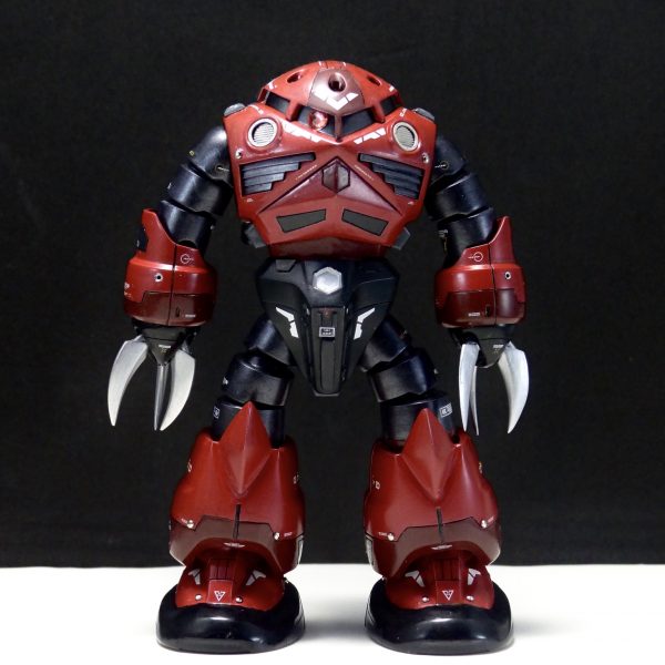 HG Z’GOK trainer  ズゴック訓練機