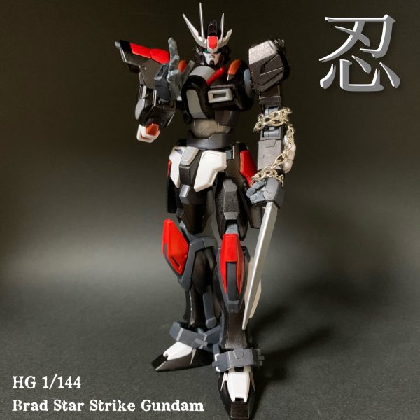 Brad Star Strike Gundam ミキシングビルド