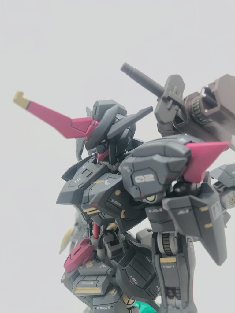 分かりづらいですが実はオッドアイです。