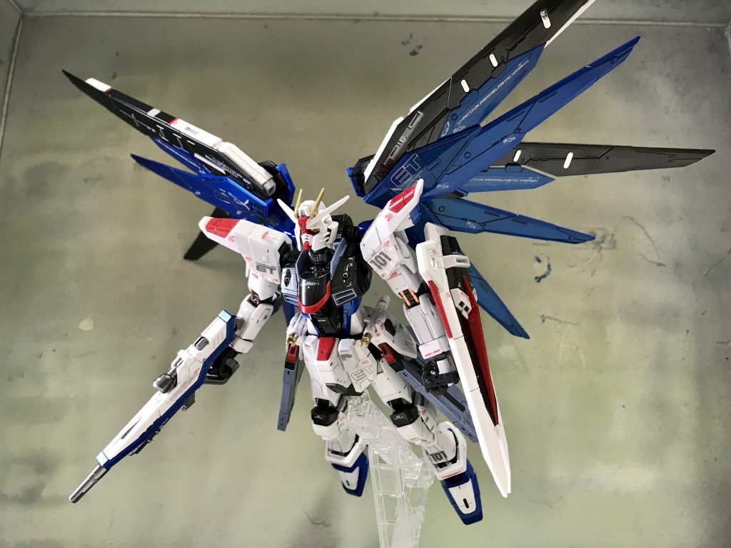 羽根を広げたこの状態を「ハイマットモード」と呼ぶことを最近まで知りませんでした（汗）