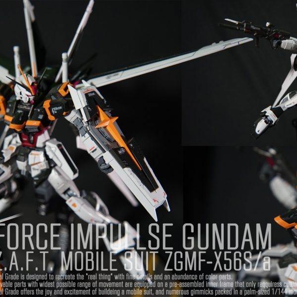 RG フォースインパルス