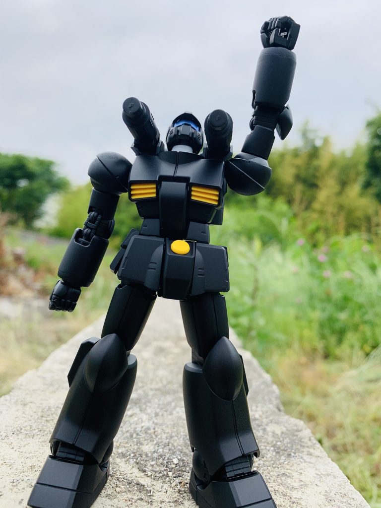 某ラＯウのポーズをパクってみました笑