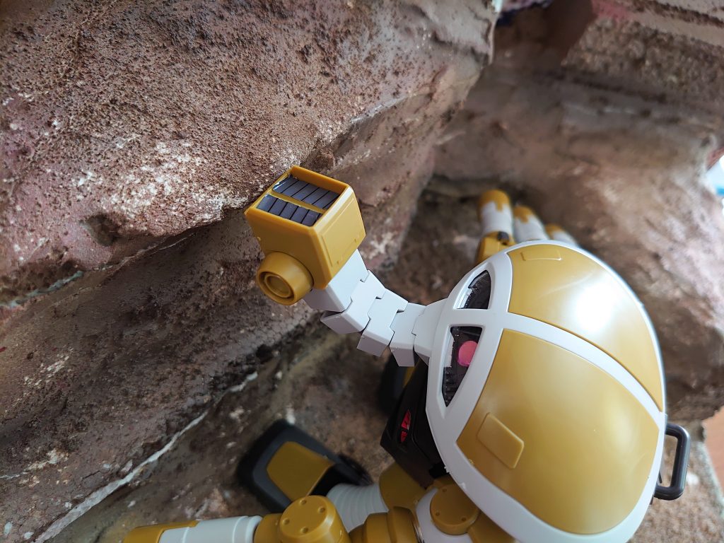 ぞうさん、みたい、らしい？