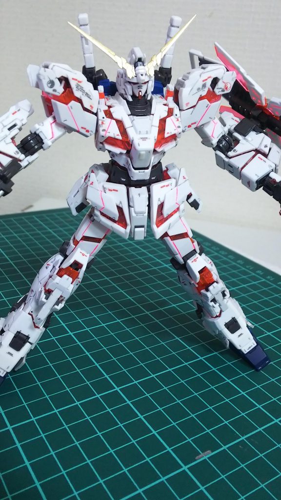 RG初挑戦ですが 動かすのが恐すぎです