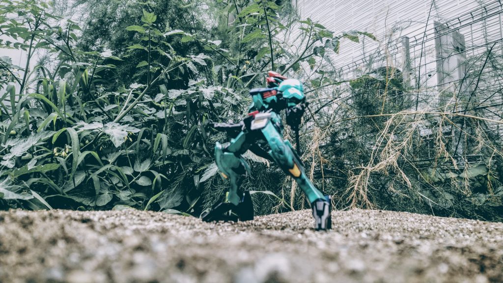 それっぽく撮ったやつ