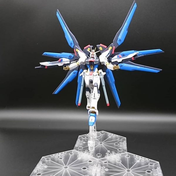 HGCE  ストライクフリーダム！