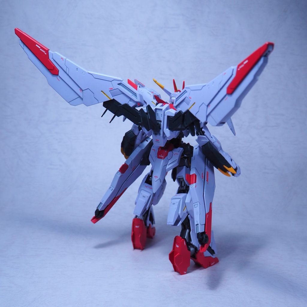 後ろ姿…羽が重たいんです(ﾟoﾟ;)