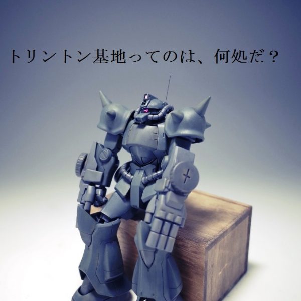 　迷子 (グフ重装型)　