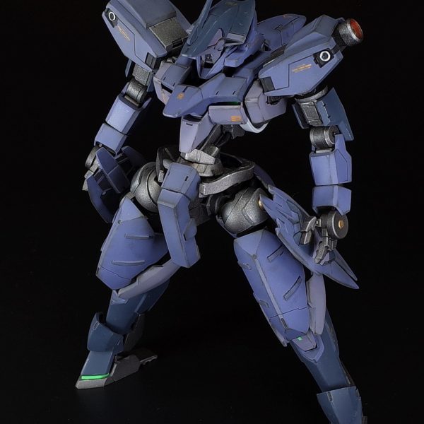 レギンレイズ_ドライ