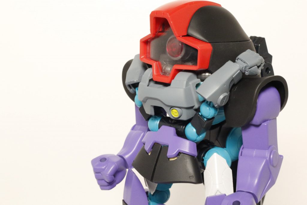 「え、いや、ドムですって」