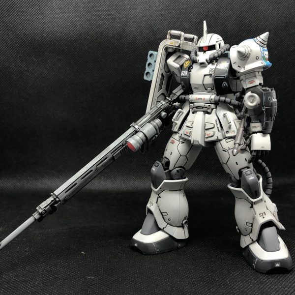 地上に、舞い降りた白狼