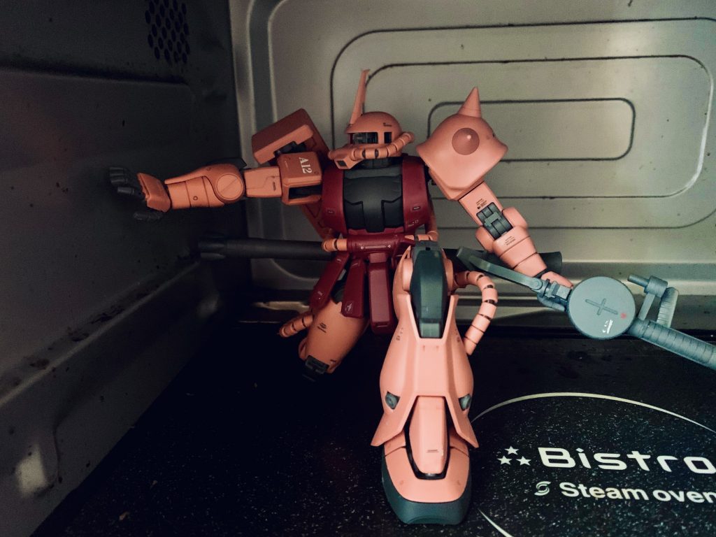 じつは電子レンジの中で撮影しました笑
PanasonicのBistro)^o^(