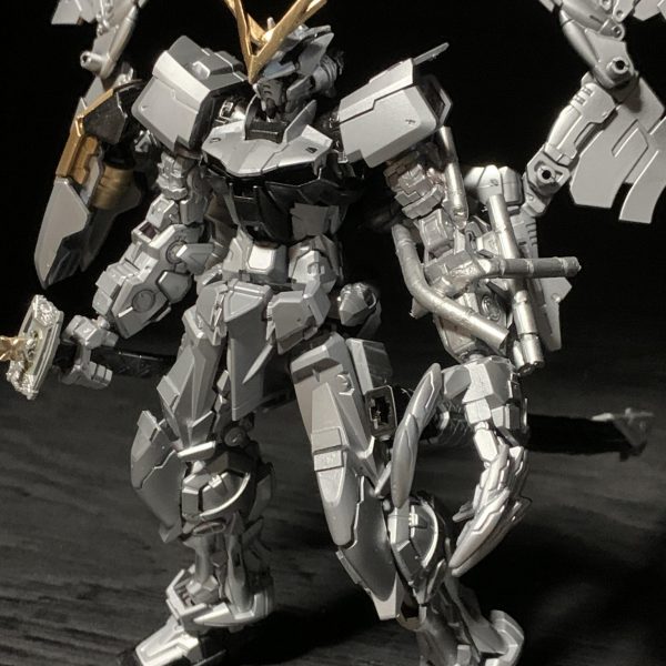 アストレイシルバーフレーム　輝夜