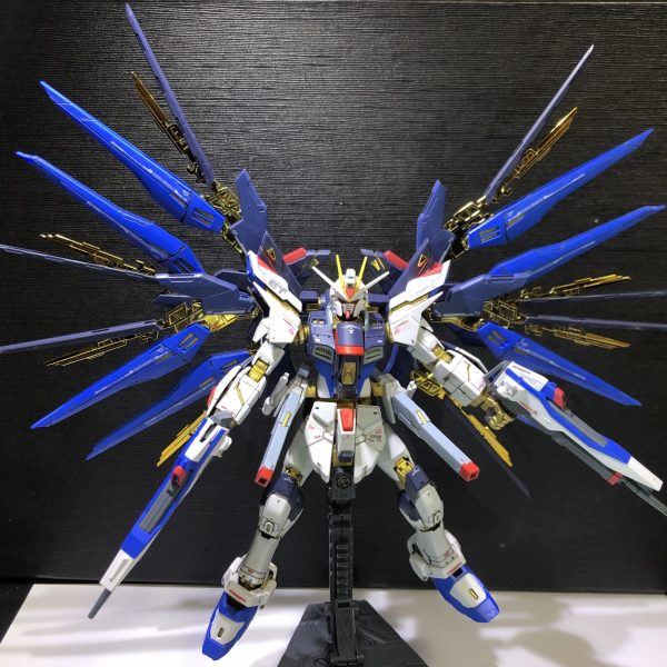 RGストライクフリーダムガンダム