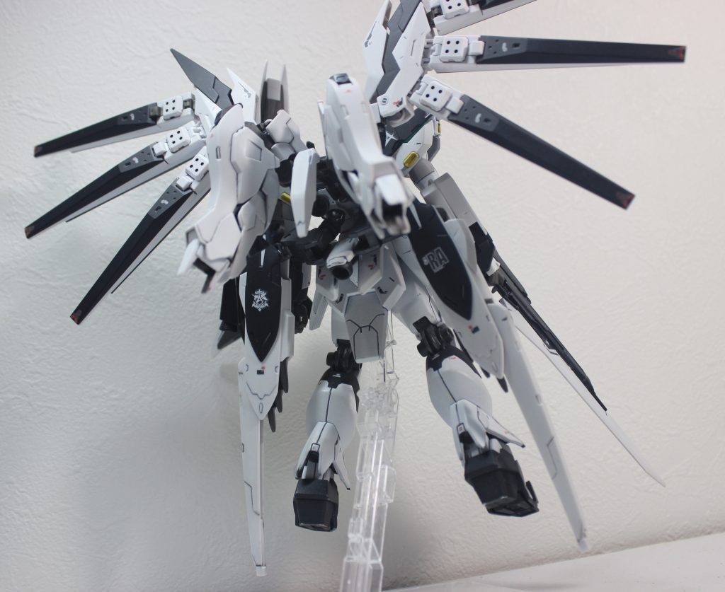 お気に入りのバックショット