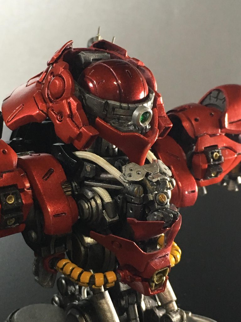 頭部、胸部の内部構造