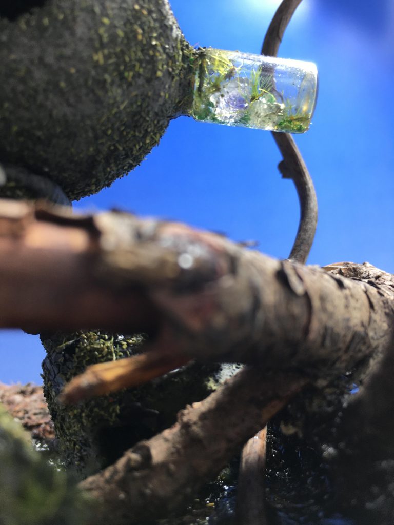 ちいさなおともだち–3枚目/制作者：はためい