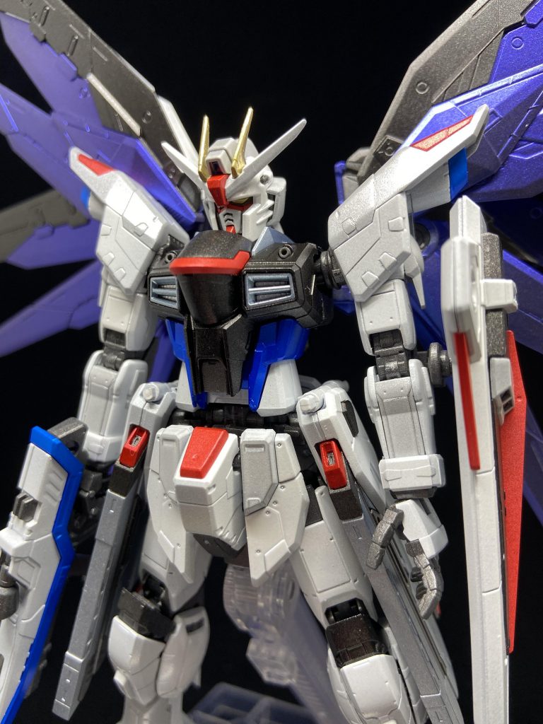 塗装後。羽だけ偏光塗料のブルーバイオレットで塗装しました。