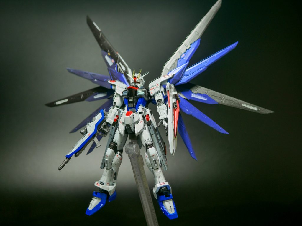 写真、ブレてました…