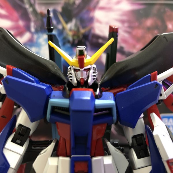 ZGMF-X42S DESTINY GUNDAM