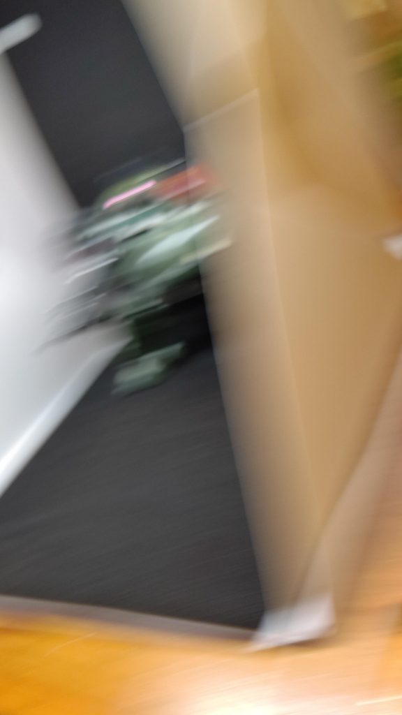 おまけ。偶然撮れた写真。ローラーダッシュで奇襲してる感があります