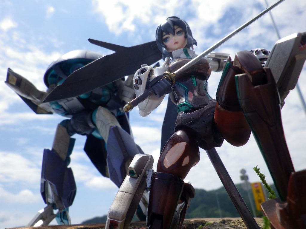 高速道路のパーキングで撮影したので標識や外灯が写りこんでいます(笑)