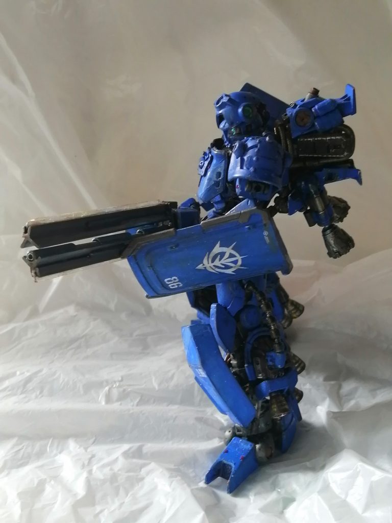 ジオン軍は、ニュータイプ、強化人間の機体を造るためデータ取り用の機体を作る事になった。しかし、予算不足ためMS-06R-2とグブの部品を使い、開発を進めた。