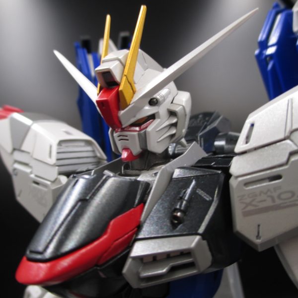 ＭＧフリーダムガンダムVer2.0