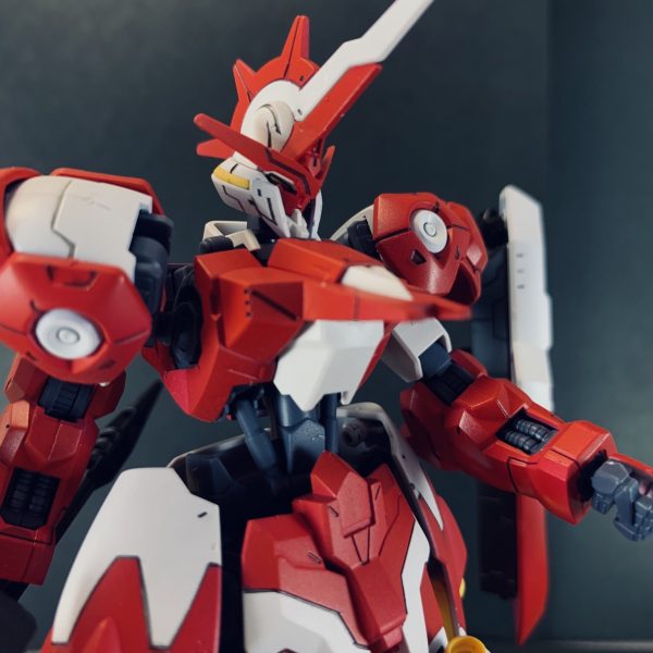 キマリスヴィダール・レッドフレーム