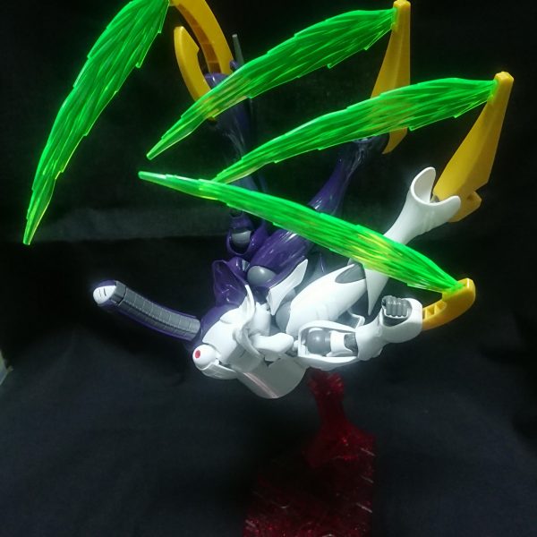 HG ディキトゥス