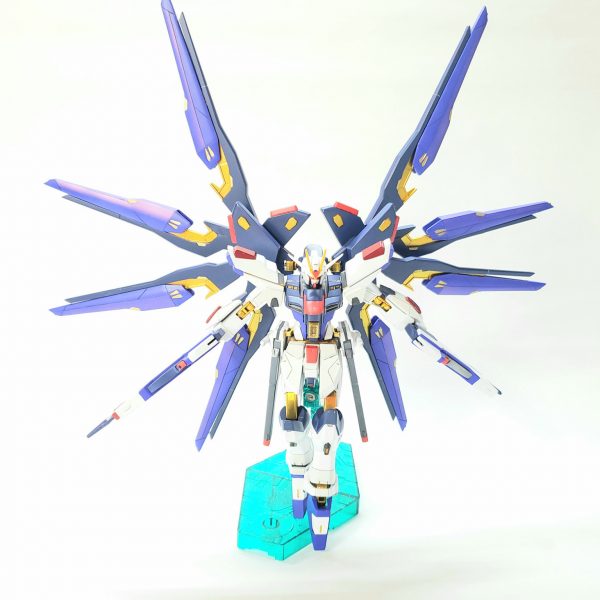 HGCE STRIKE FREEDOM