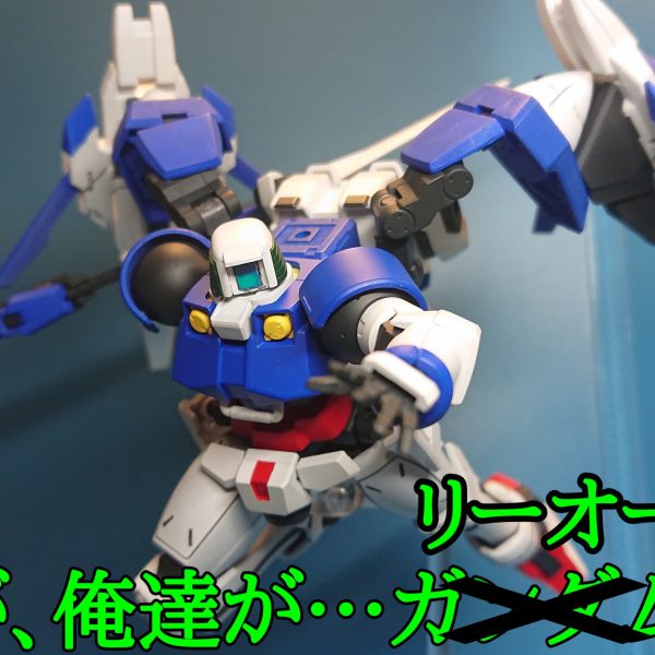 ダブルリーオーライザー