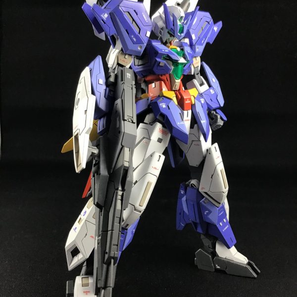 HGCE フリーダム