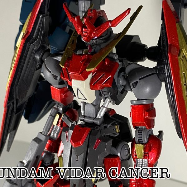 ガンダムヴィダールキャンサー
