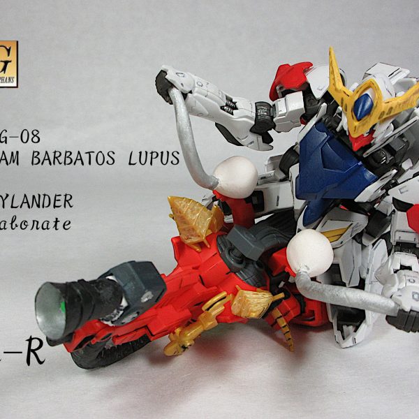 ヴァルプライダー